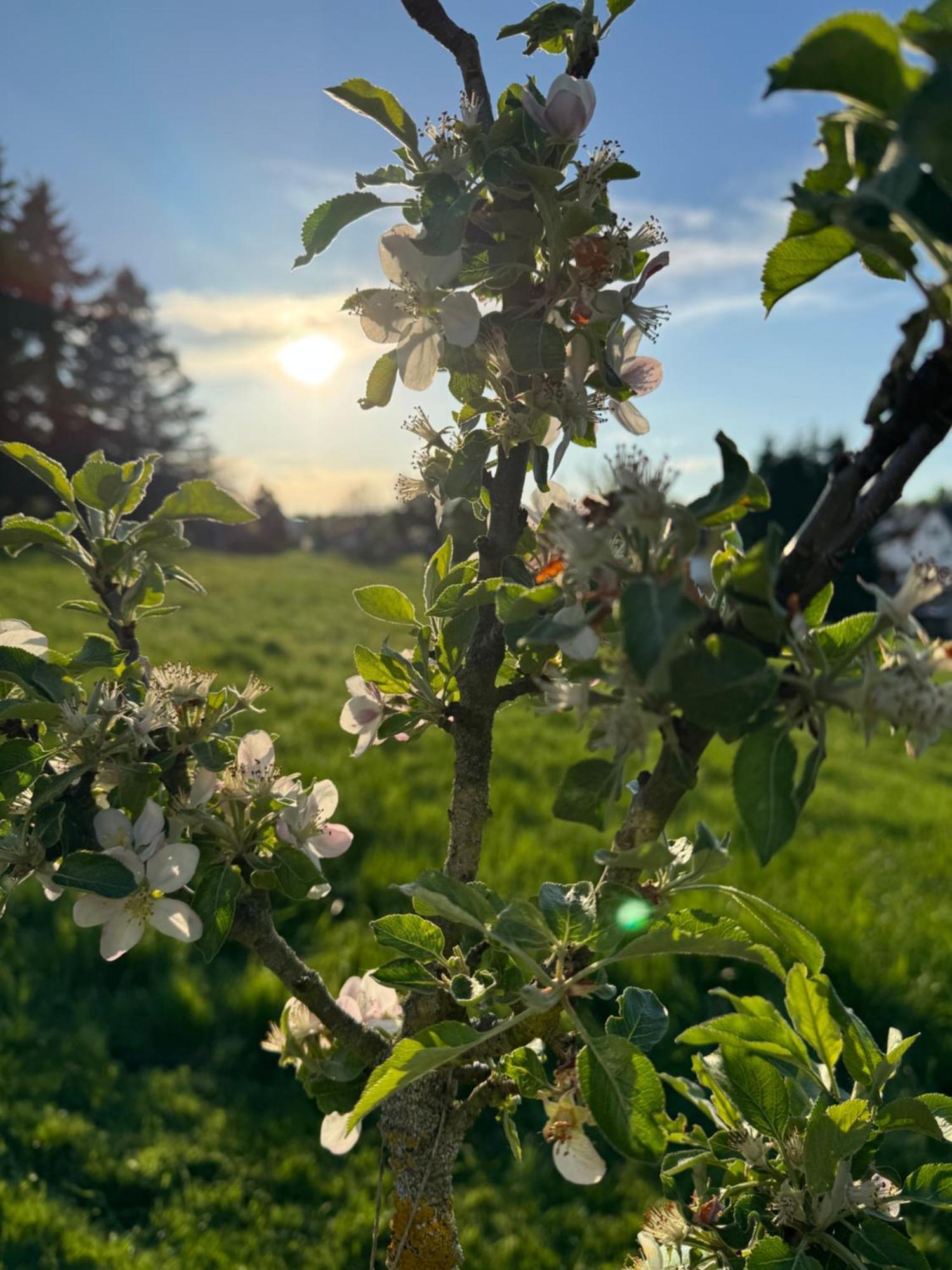 Montabaur Appartamento Heiligenroth